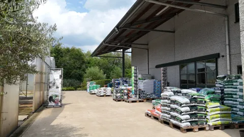 Boomkwekerij Asselberghs