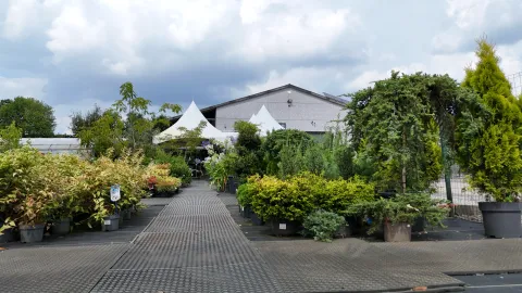 Boomkwekerij Asselberghs