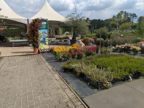 Boomkwekerij Asselberghs