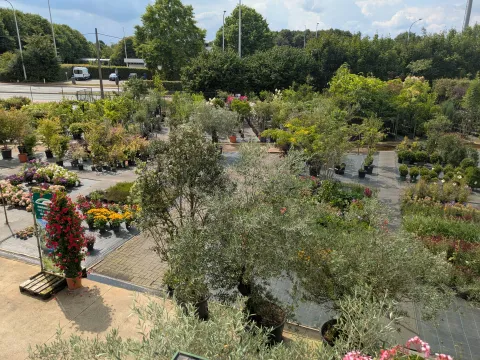 Boomkwekerij Asselberghs