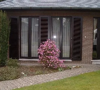 Rhododendron 'Praecox'