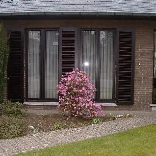 Rhododendron 'Praecox'